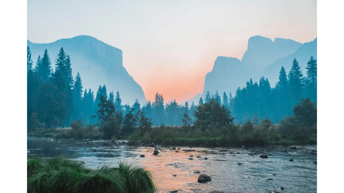 5 Essential Tips for Improving Your Photography Skills