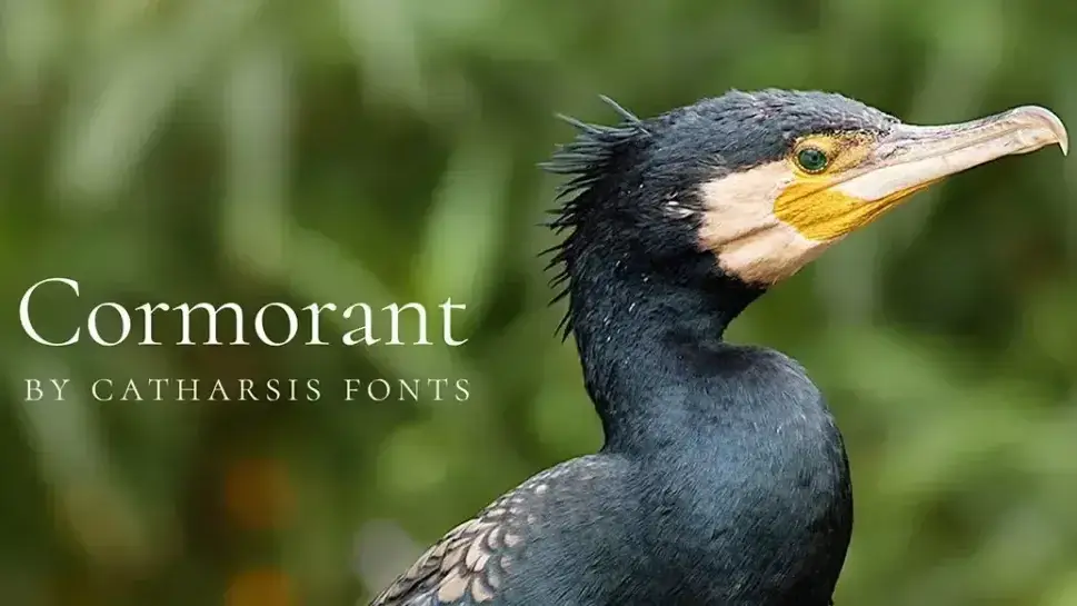 Best 5 free fonts - 3