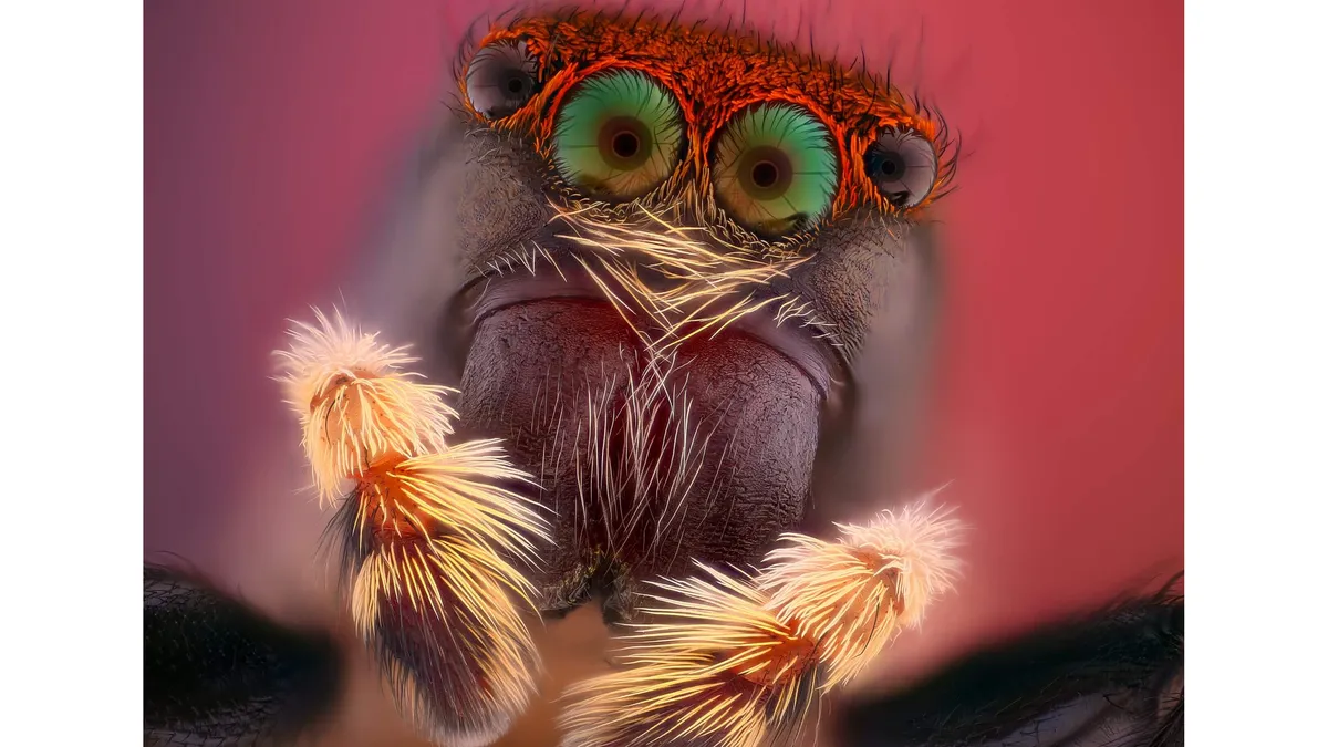 Macro Photography: Tips and Techniques